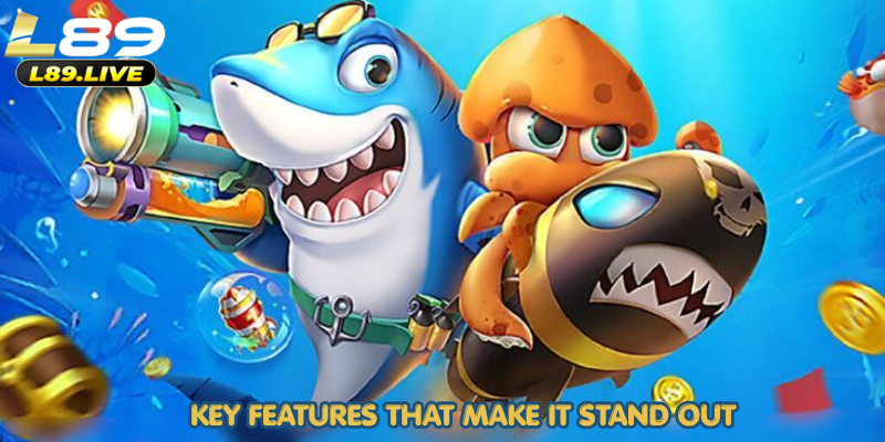 Key Features That Make It Stand Out